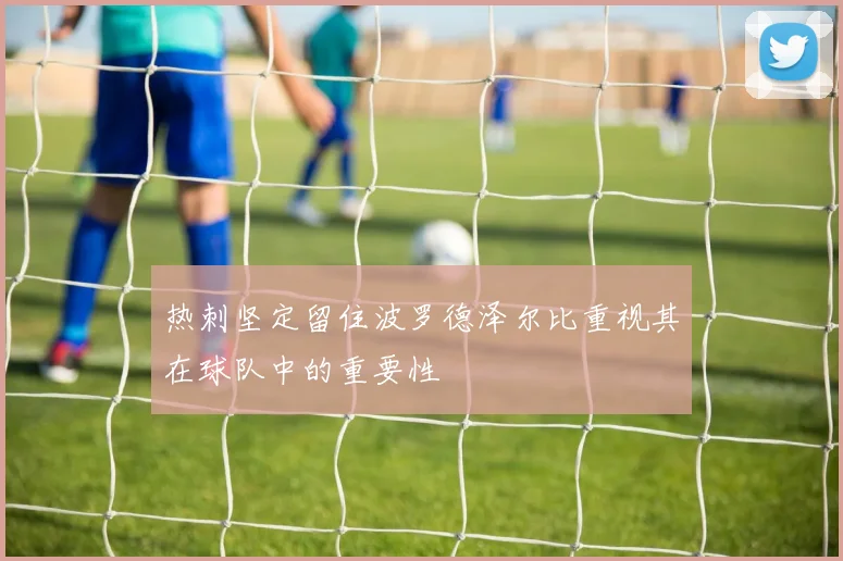 热刺坚定留住波罗德泽尔比重视其在球队中的重要性